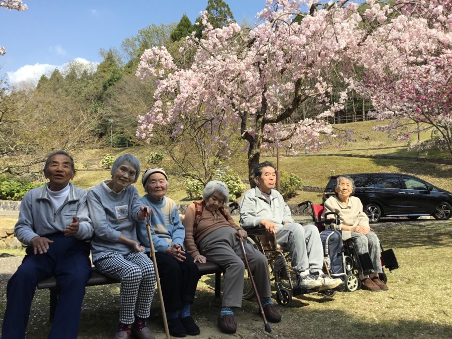 だんらんの家　京終の写真3枚目：春はお花見に行ったり屋外イベントも数多く開催