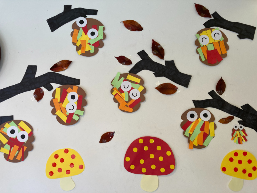 ステップクラブ姫子の写真