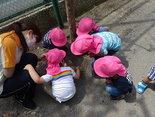 キッズパートナー菊川の写真2枚目：