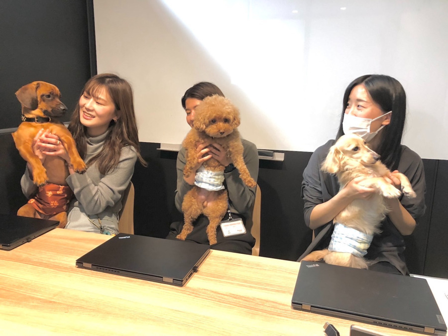 株式会社アニスピホールディングス(医療事務/受付の求人)の写真2枚目: