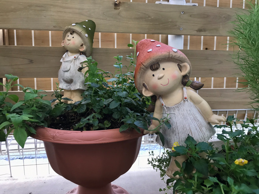 マグハウス都立大学（保育補助の求人）の写真4枚目：ベランダにも緑がいっぱい★★