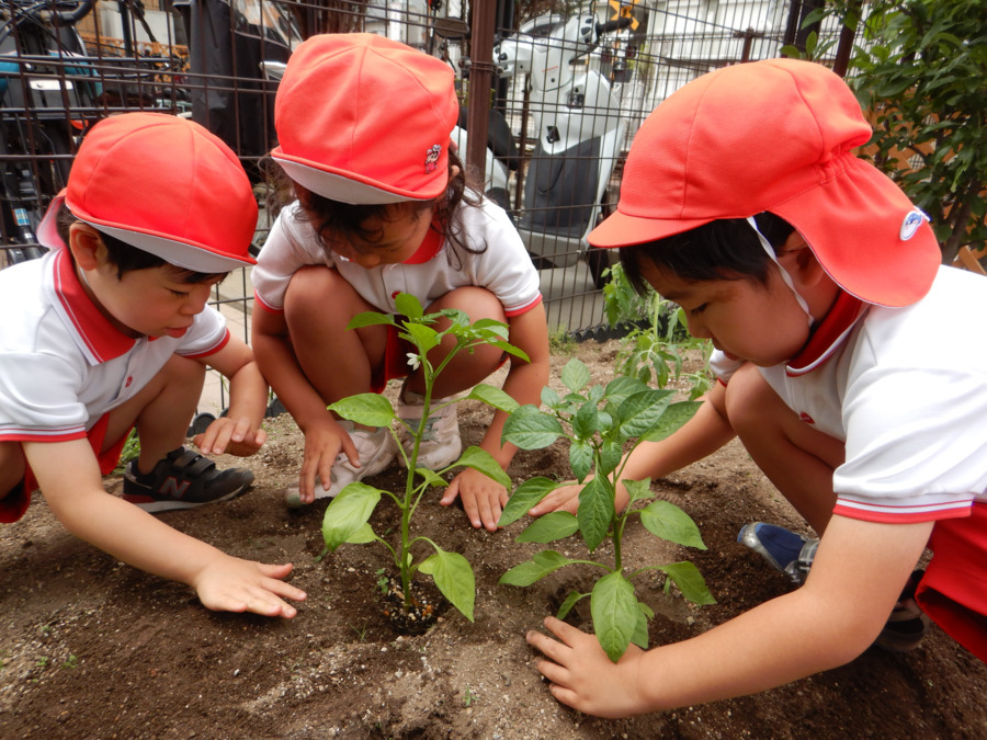 まつばら駅前おおぞら保育園の写真4枚目: