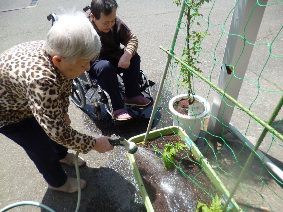 特別養護老人ホーム　いやしのさと（介護職/ヘルパーの求人）の写真6枚目：きゅりの苗植えをしています