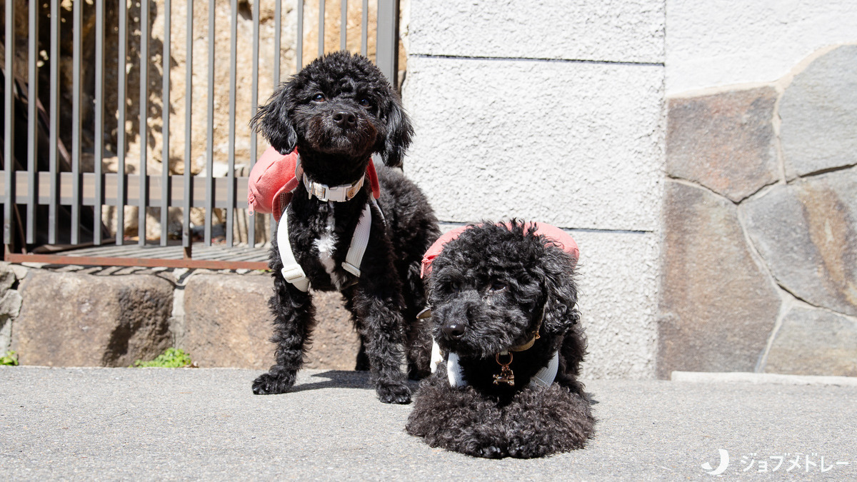 訪問看護ステーションあいおーるの写真14枚目:ご応募お待ちしております♪