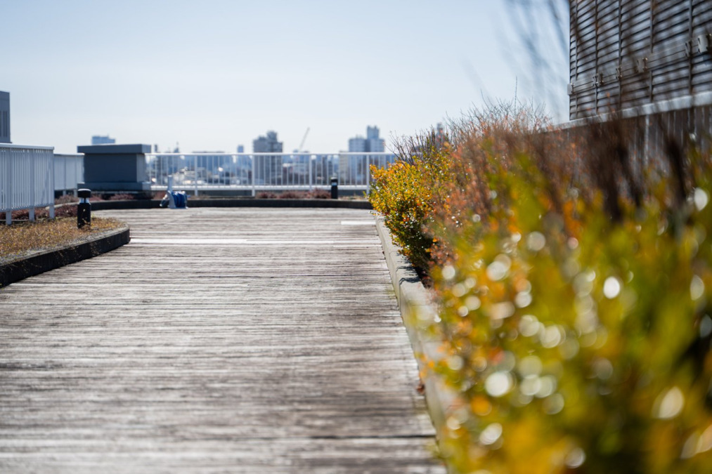 特別養護老人ホームマイルドハート高円寺の写真