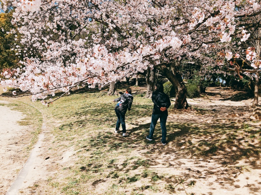 生活介護Ocean(生活支援員の求人)の写真: