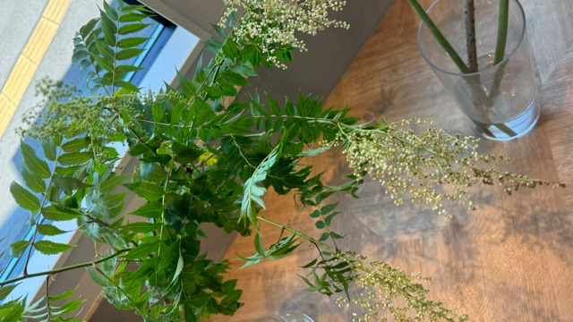 Cion(美容師の求人)の写真7枚目: