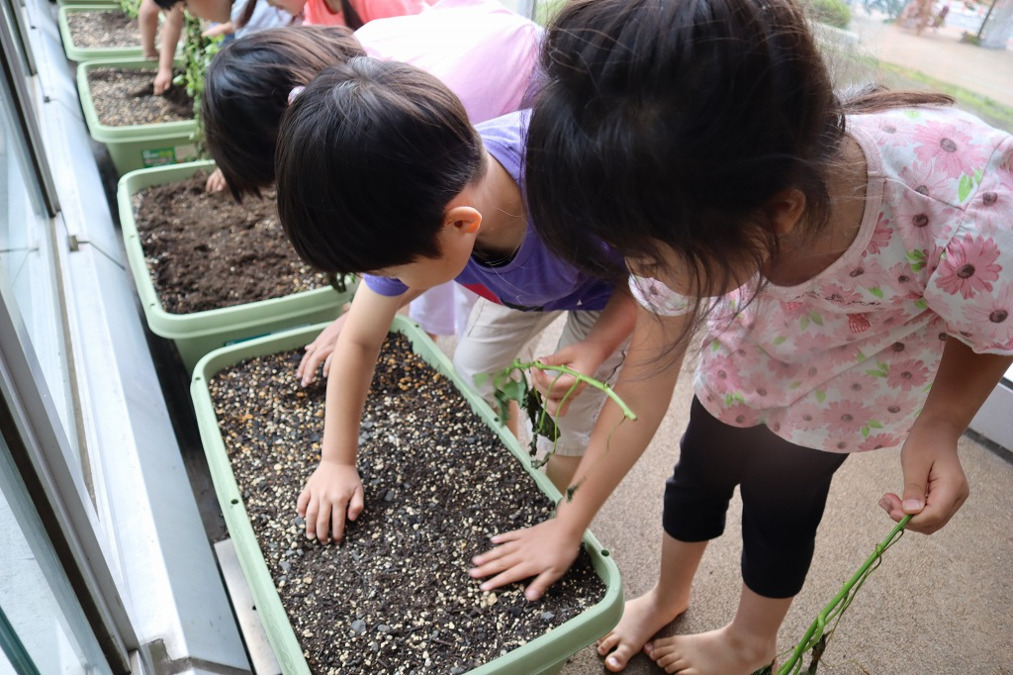 さんいく保育園清澄白河の写真