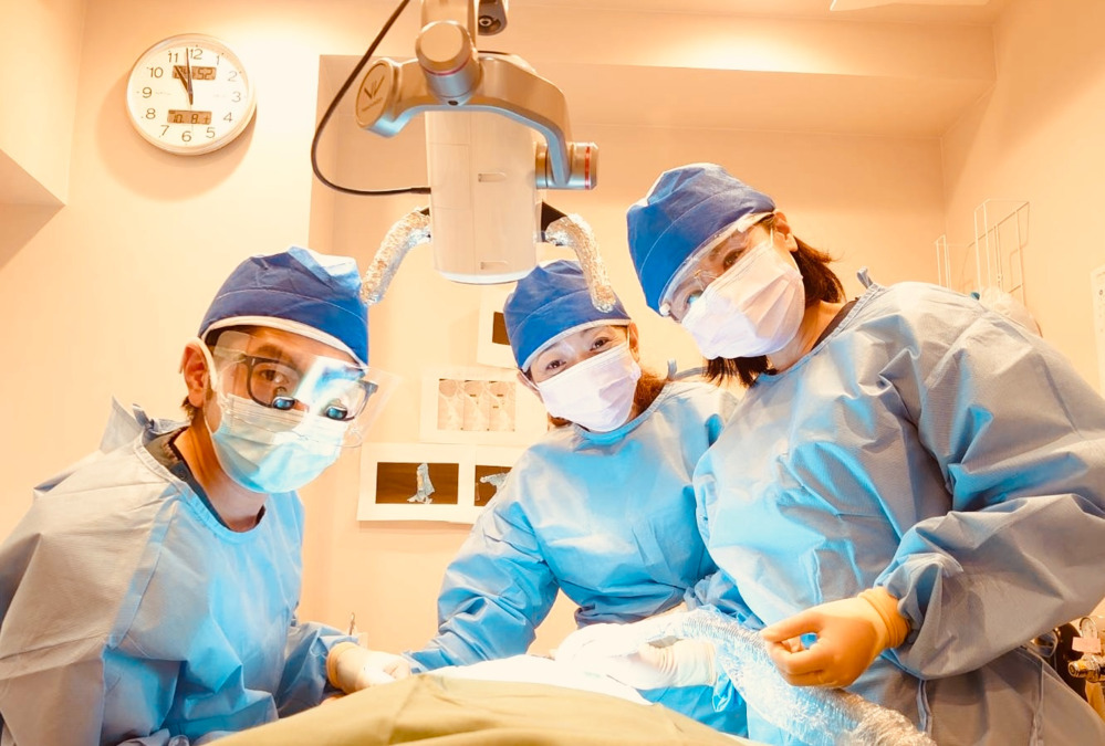 かつみ歯科口腔外科（歯科衛生士の求人）の写真2枚目：