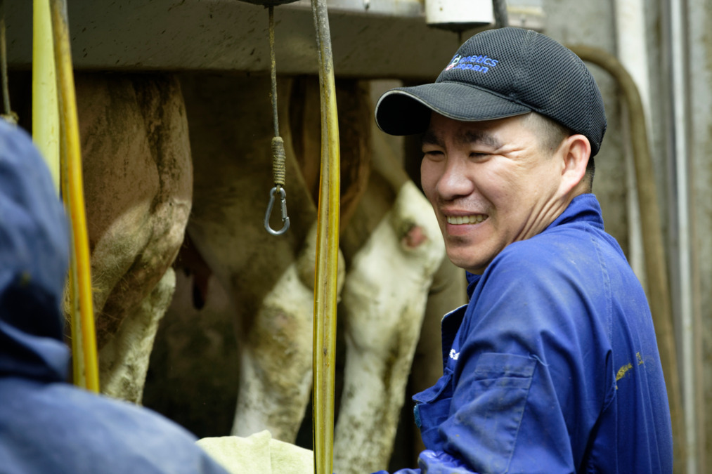 就労継続支援A型事業所 リンクアップ【2026年02月オープン予定】の写真2枚目: