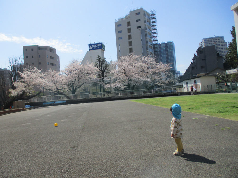 みなと保育サポート東麻布の写真10枚目：