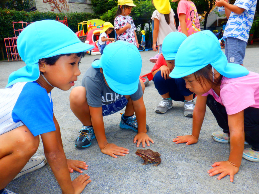 島根いちい保育園（保育士の求人）の写真2枚目：