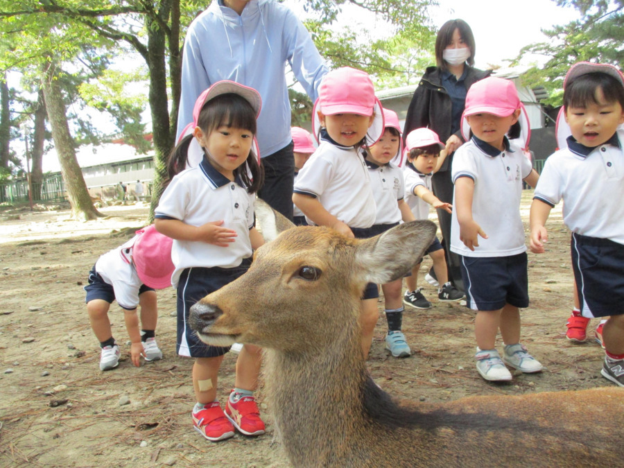 やまと西大寺KEC保育園(保育士の求人)の写真3枚目: