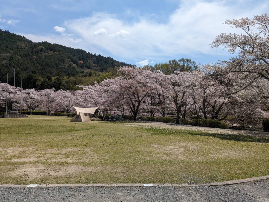 放課後等デイサービス ウィズ・ユー東近江【2026年春オープン予定】の写真2枚目: