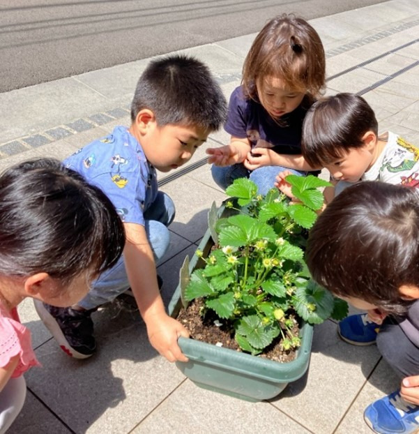 ほっぺるランド佃大橋の写真4枚目：