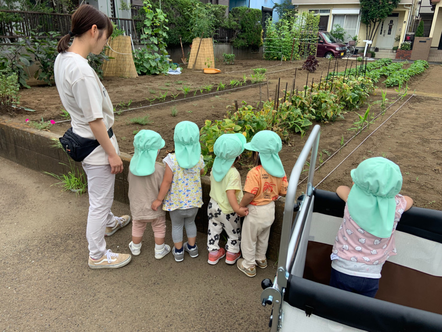 hareirokids松浪保育園【2025年04月01日オープン】（保育士の求人）の写真12枚目：