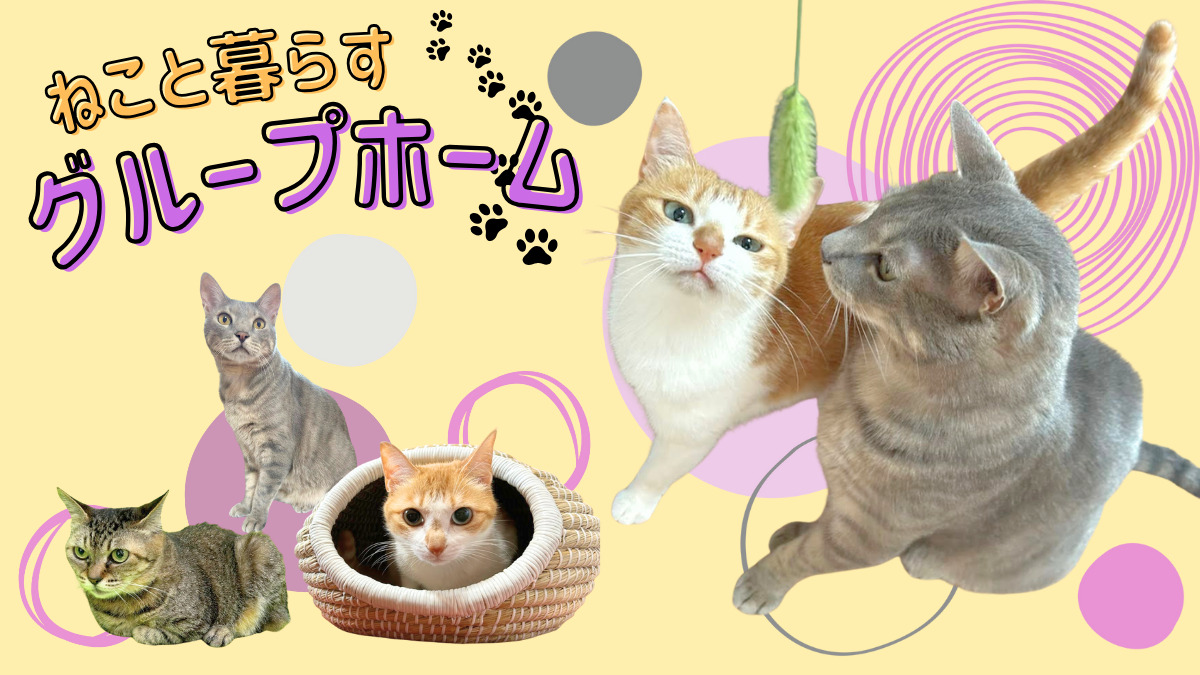 グループホーム 風鈴花 / グループホーム風鈴花おおたきの写真