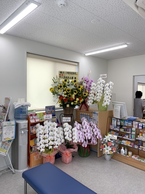 ホッタ晴信堂薬局 本町店の写真5枚目：新装開店です。