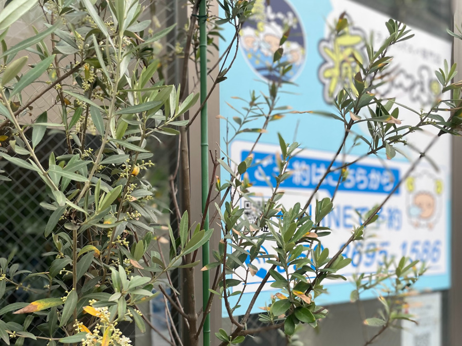 ドライヘッドスパ専門店　癒し〜ぷ東村山店（エステティシャン/セラピストの求人）の写真2枚目：