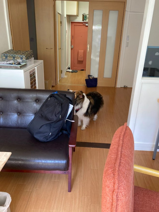 オレンジノート居宅介護支援事業所【2025年04月01日オープン】の写真2枚目：