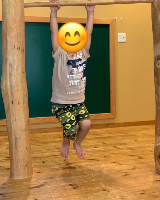 児童発達支援事業所　chouchou小泉の写真8枚目：活動の一部。ぶら下がる練習は腕の力も必要ですが、握り方や力を入れ続ける練習に