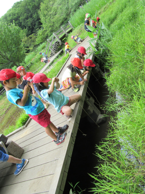 小雀みどり保育園(保育士の求人)の写真3枚目: