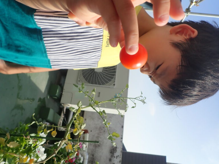 認定こども園岩槻ひかり（保育士の求人）の写真9枚目：