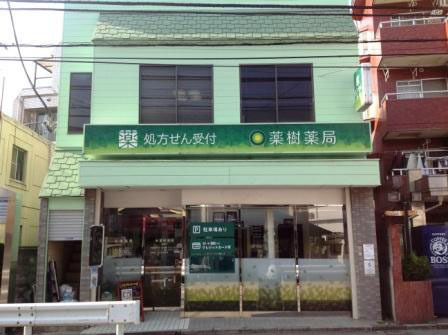 薬樹薬局　妙蓮寺の写真
