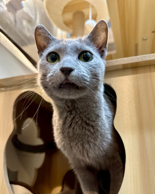 メディカルホーム苗間(介護職/ヘルパーの求人)の写真6枚目: