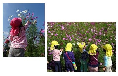 秦川愛児園(保育士の求人)の写真2枚目: