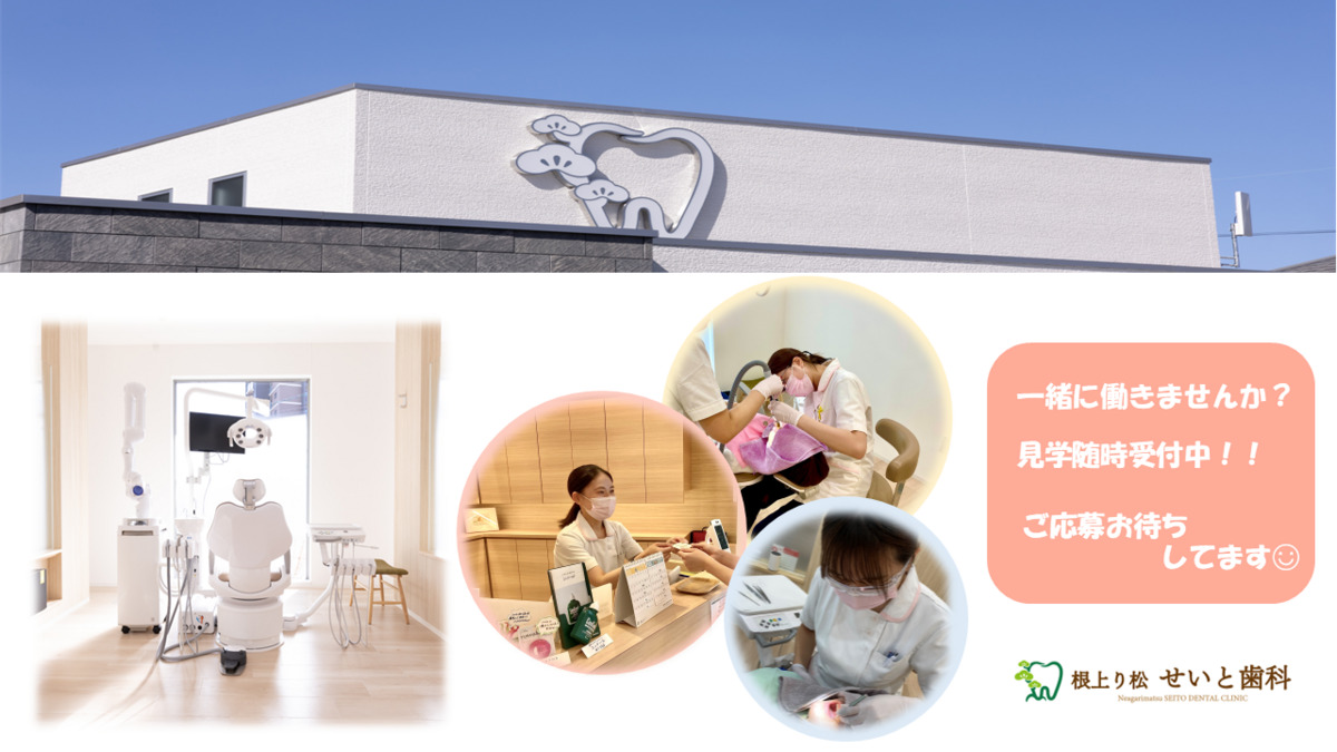 根上り松せいと歯科の写真