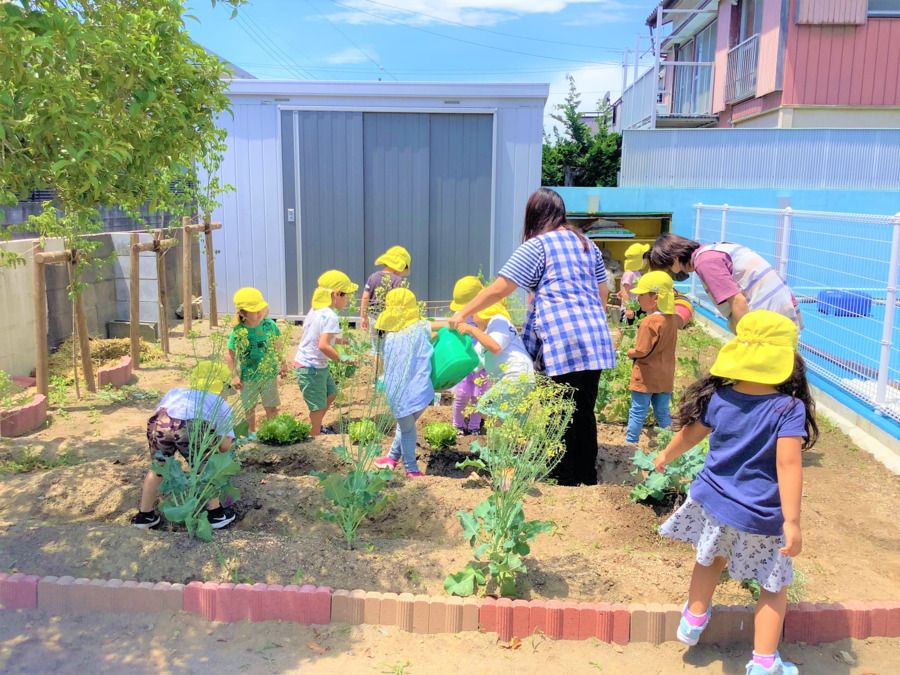 きむら認定こども園（看護師/准看護師の求人）の写真7枚目：