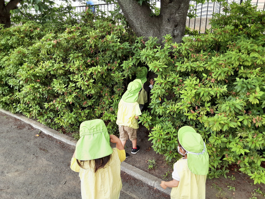 鶴見ポケット保育園（保育士の求人）の写真3枚目：