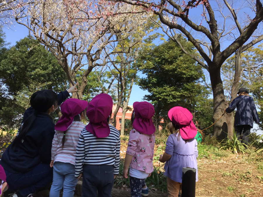 キッズフォレ綱島の写真4枚目：
