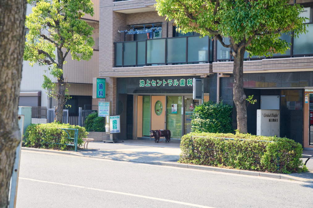 池上セントラル歯科の写真2枚目：