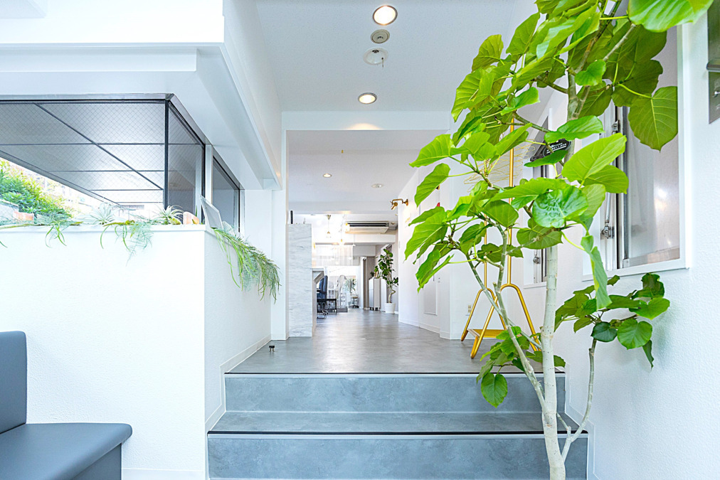 B+TREE 三軒茶屋店 Produced by INFINEEZ(アイリストの求人)の写真2枚目: