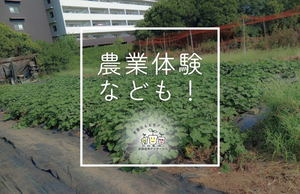 放課後等デイサービス 鶴ヶ峰もえぎ(作業療法士の求人)の写真5枚目: