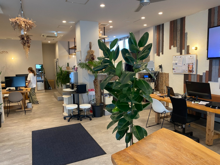 Le Cerisier（ル・セリジェ）（サービス管理責任者の求人）の写真2枚目：