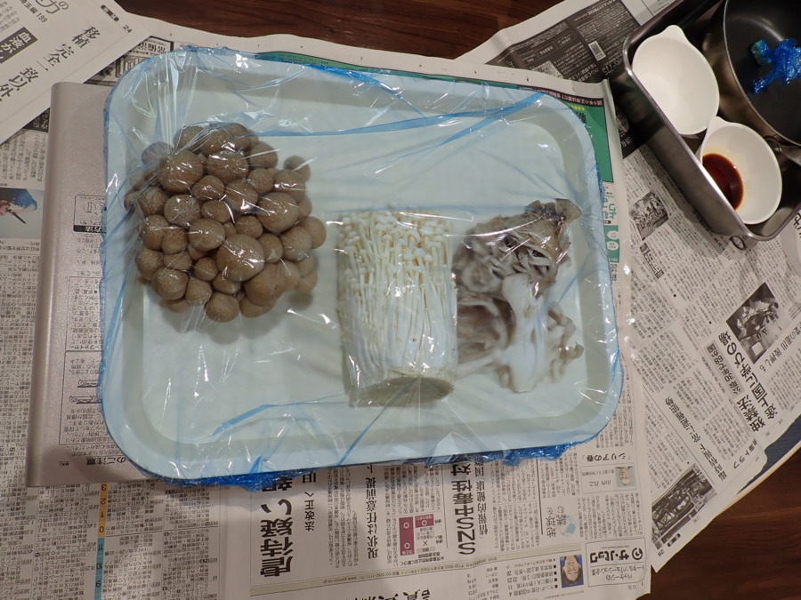 認定こども園岩槻ひかり（保育士の求人）の写真4枚目：