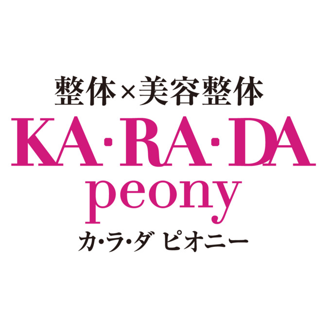 カラダピオニー 川崎店の写真