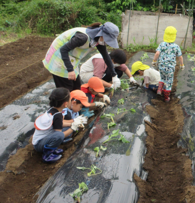 プレスクールあおば(保育士の求人)の写真3枚目: