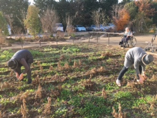 特別養護老人ホームまごころ館四街道（作業療法士の求人）の写真5枚目：