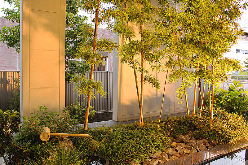 たかみデンタルクリニック(歯科衛生士の求人)の写真2枚目: