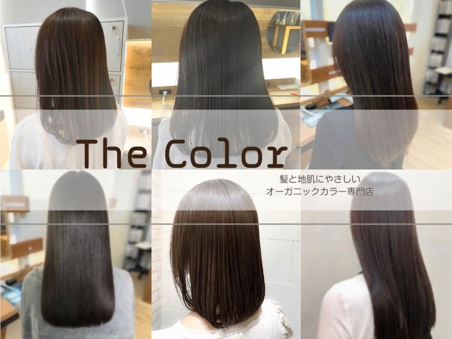 オーガニックカラー専門店The Color 鎌取店（美容師の求人）の写真4枚目：