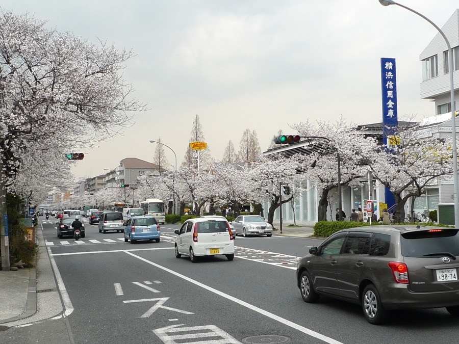 デイサービス縁園(管理職(介護)の求人)の写真5枚目: