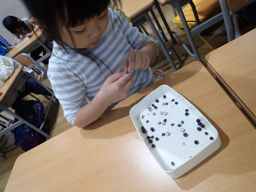 認定こども園岩槻ひかり（保育士の求人）の写真32枚目：