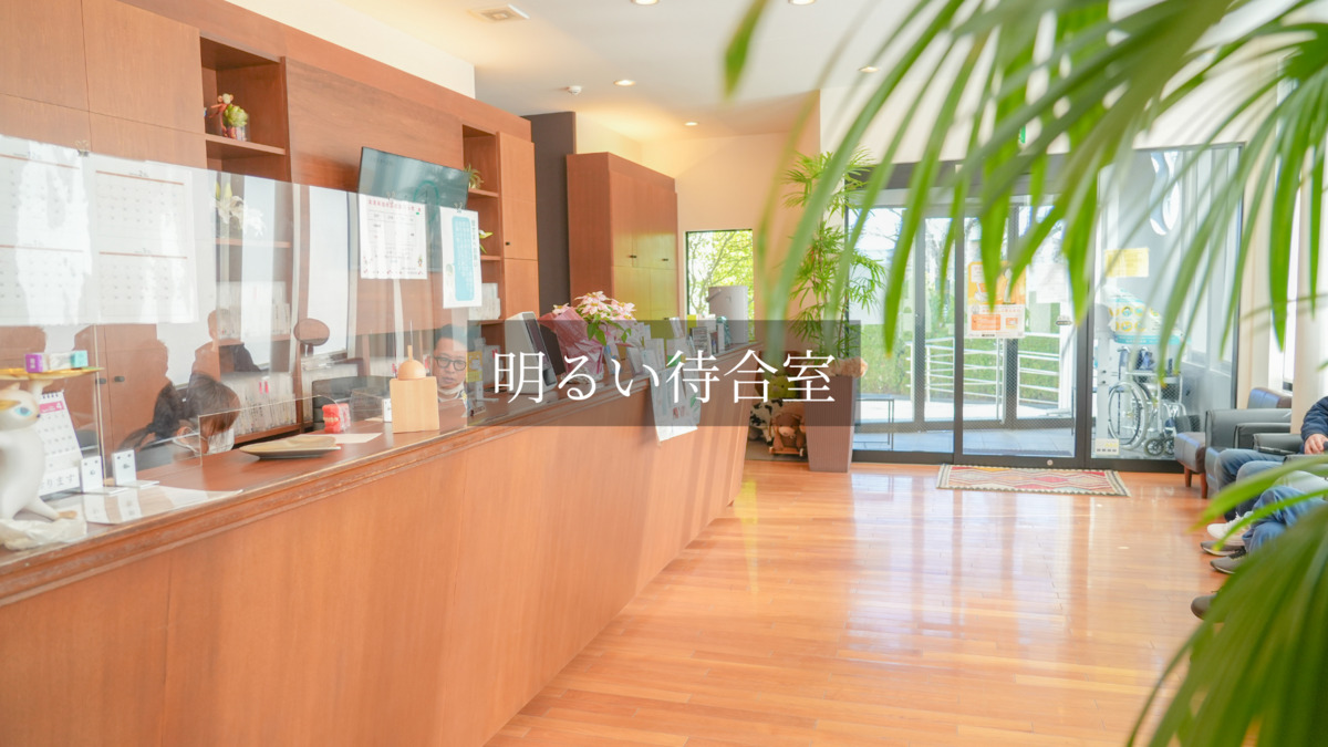 SAKO DENTAL CLINIC（歯科衛生士の求人）の写真18枚目：