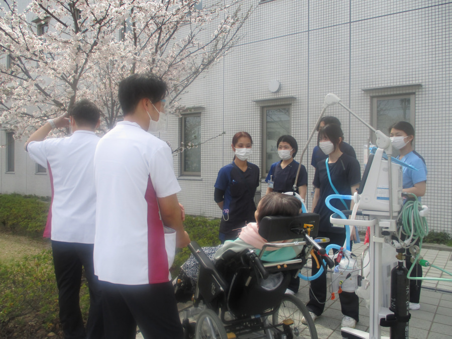 彦根中央病院（看護師/准看護師の求人）の写真4枚目：多職種と連携しお花見をしました🌸