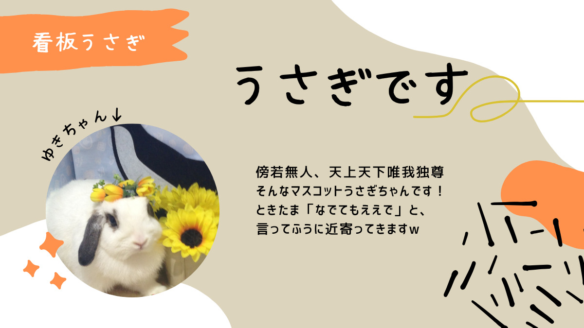 ヘルパーステーション ゆきうさぎの写真7枚目：