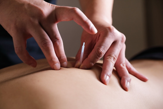 QUICK TRIGGER20 鍼灸マッサージ院【2026年03月28日オープン予定】の写真4枚目: